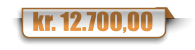 kr. 5.100,00