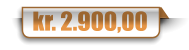 kr. 9.300,00
