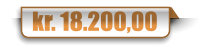 kr. 18.200,00