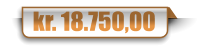 kr. 18.750,00